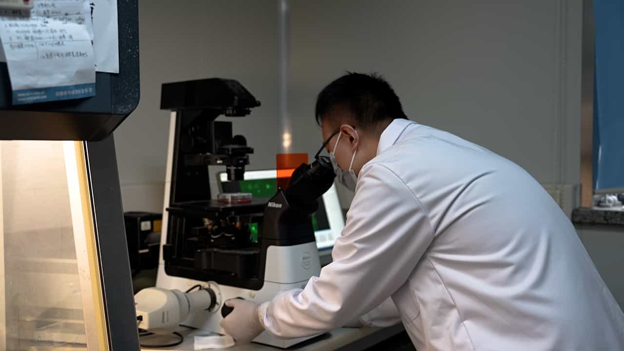 Colony Formation Assay Detecting the Proliferative Capacity of LncRNA-knockdown Osteosarcoma Cells