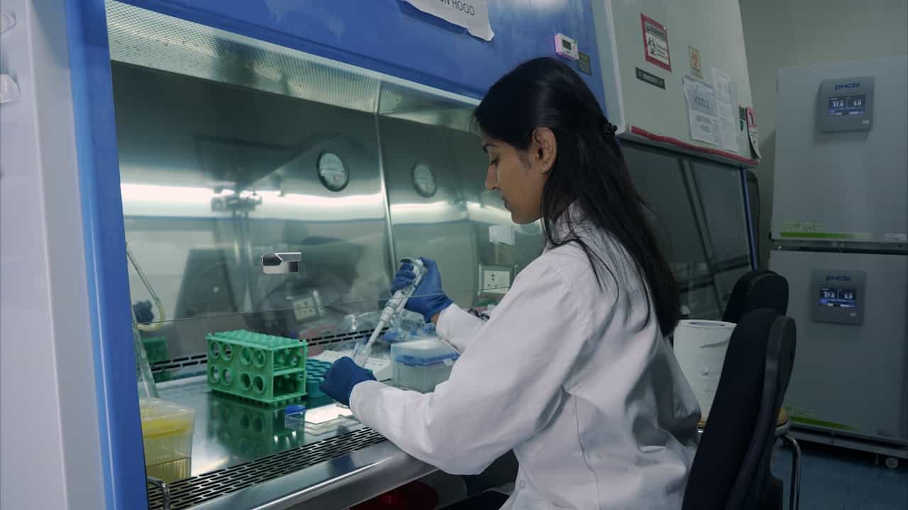 Mammosphere Assay Reveals Api5-Induced Stemness in Non-Tumorigenic Breast Epithelial Cell Lines