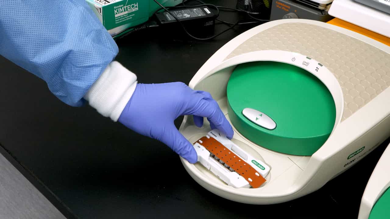Profiling Epidermal Growth Factor Receptor DNA Mutations in Circulating Rare Cells Using a Cell Isolation System and Droplet Digital PCR