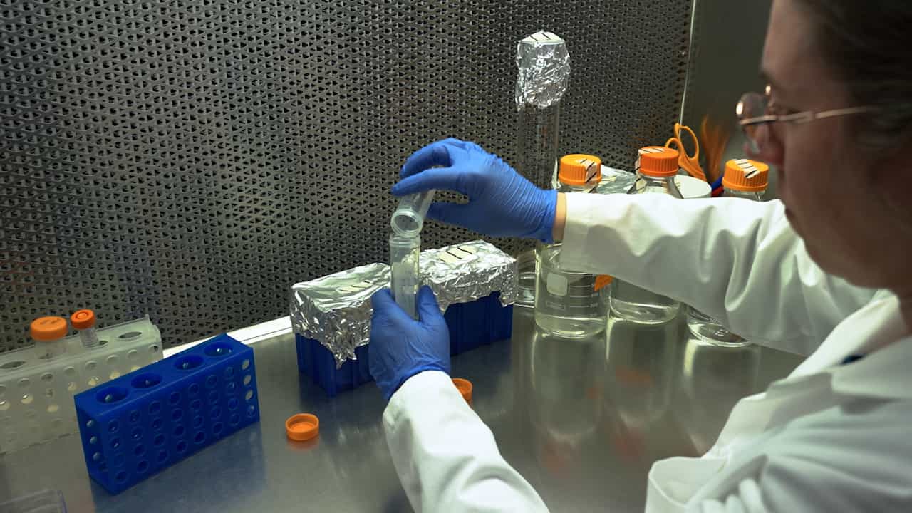 Building and Operating a Low-Cost Elevated Carbon Dioxide Growth Chamber to Evaluate Microgreen Physiology under Spaceflight-Relevant CO2 Levels
