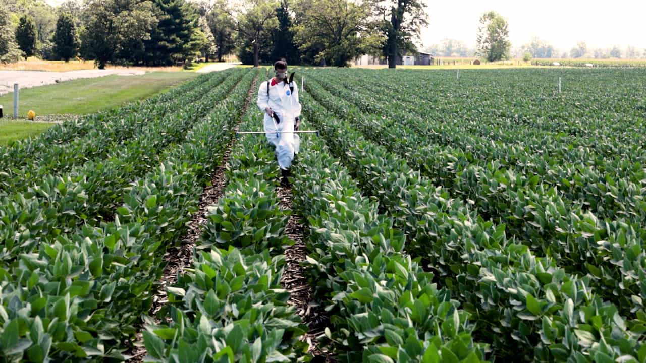 Assessing the Repellency of an Insecticide-Fungicide Combination to Bees Using Bioacoustics