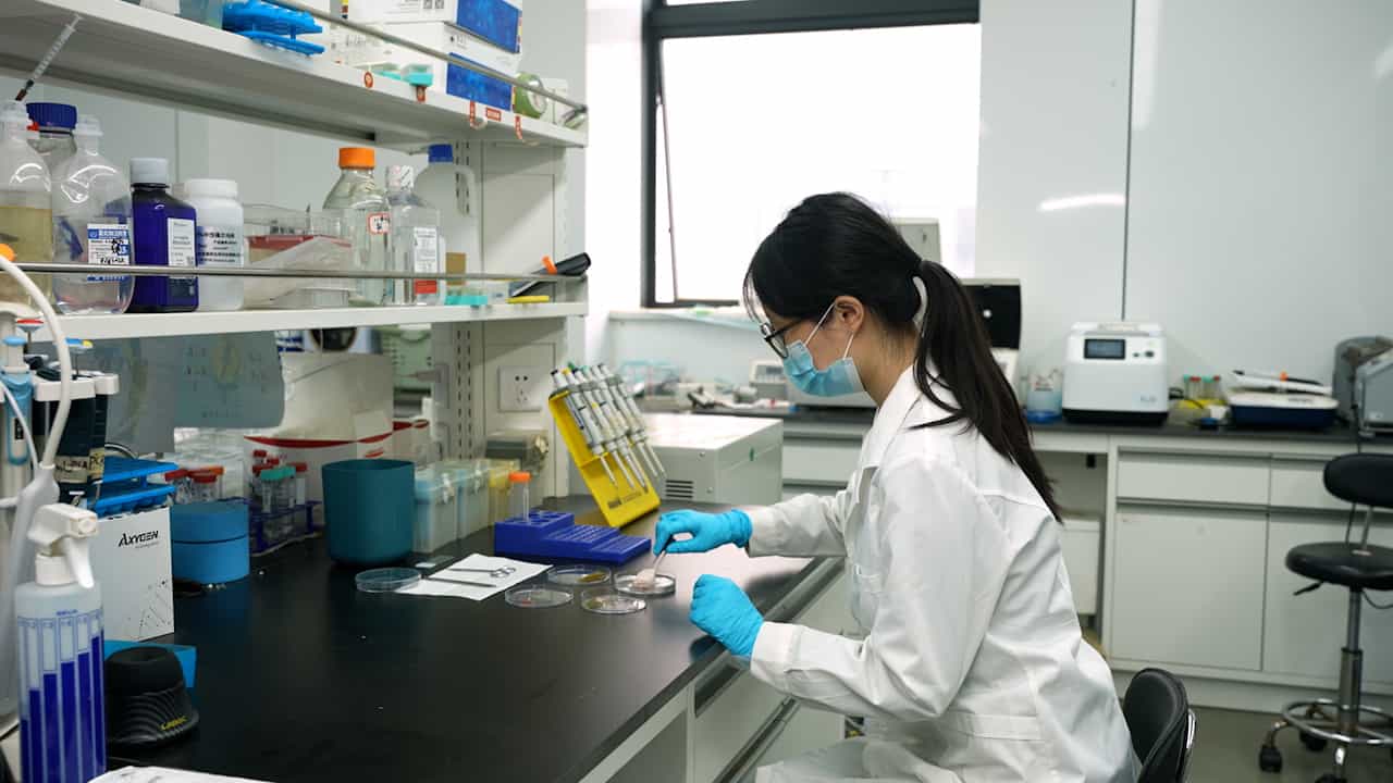 Efficient Isolation of Adipose-derived Stem Cells and Adipocytes from Porcine Adipose Tissue