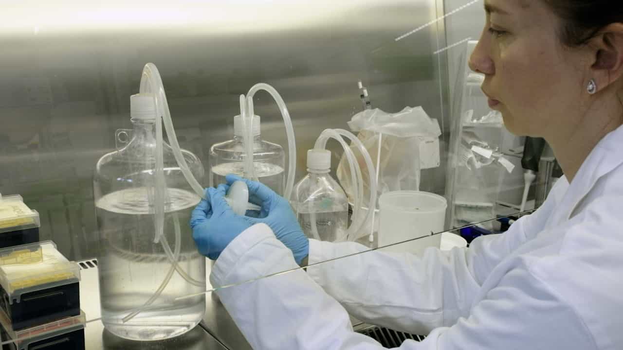 A Continuous Culture Millifluidic Device for the Study of Escherichia coli under Low and Fluctuating Nutrient Conditions