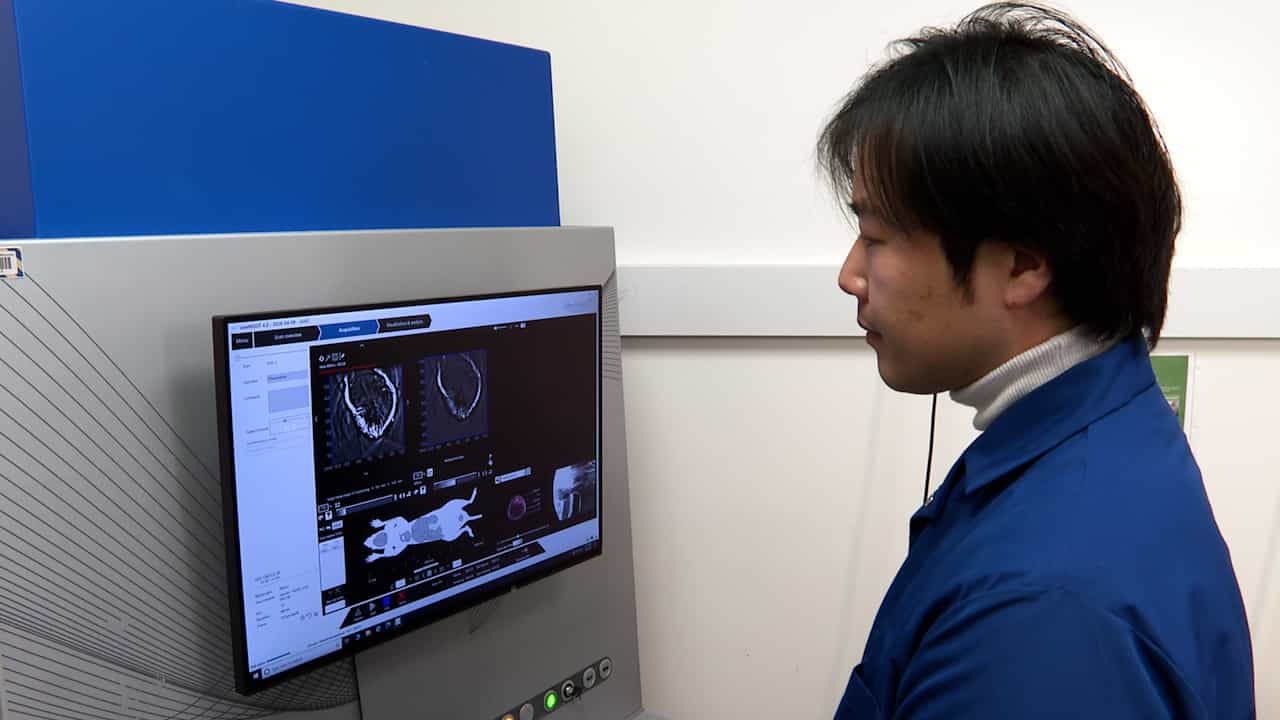 Evaluations of Oxygenation and Vascular Perfusion in Pre-Clinical Models of Cancer and Wound Healing Using OS-DCE OAI