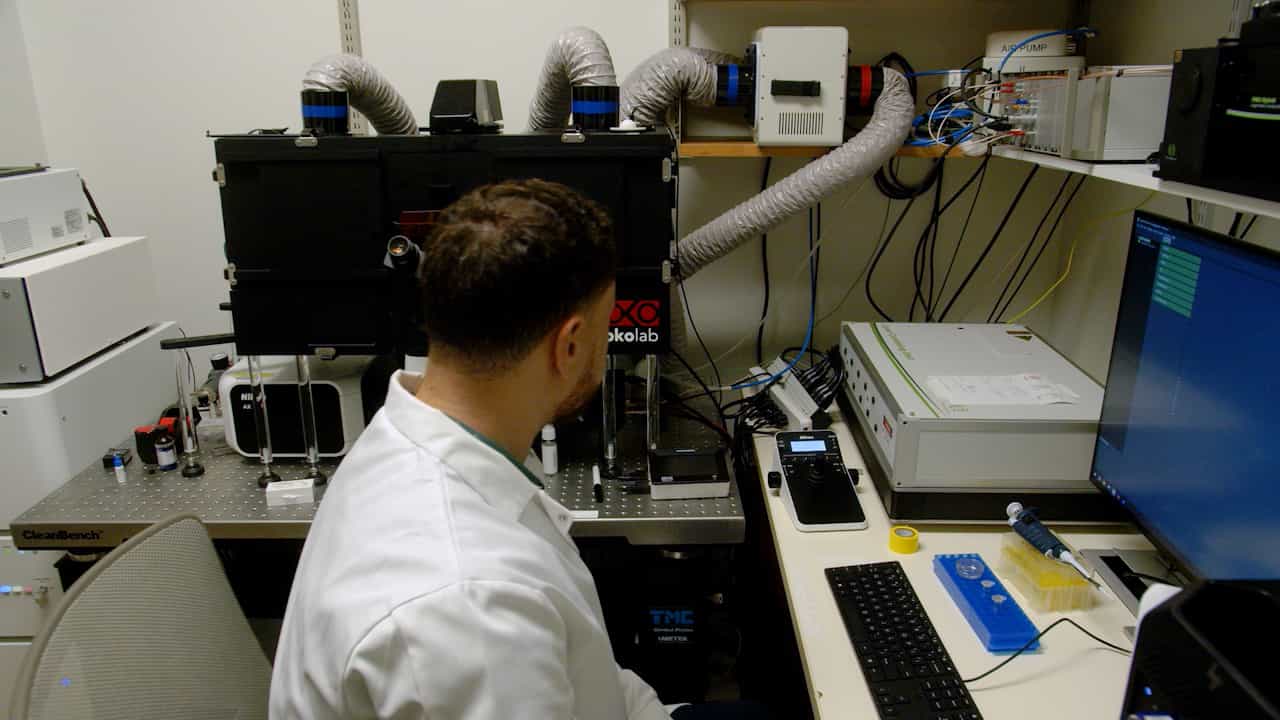 Characterizing Riboglow Probes In Vitro as the Basis for Fluorescence Lifetime Imaging In Live Mammalian Cells and Three-Dimensional Cellular Models
