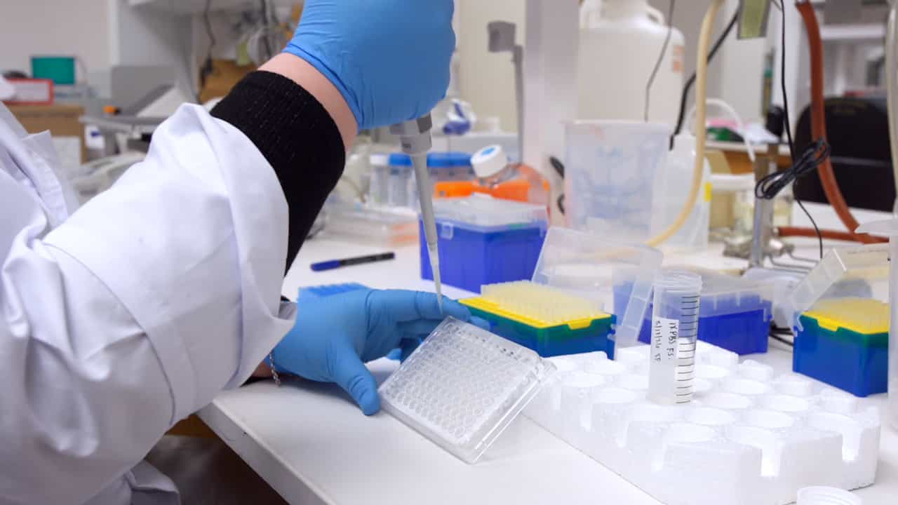 Amikacin Protection Assay for Quantification and Visualization of Escherichia coli Cell Invasion