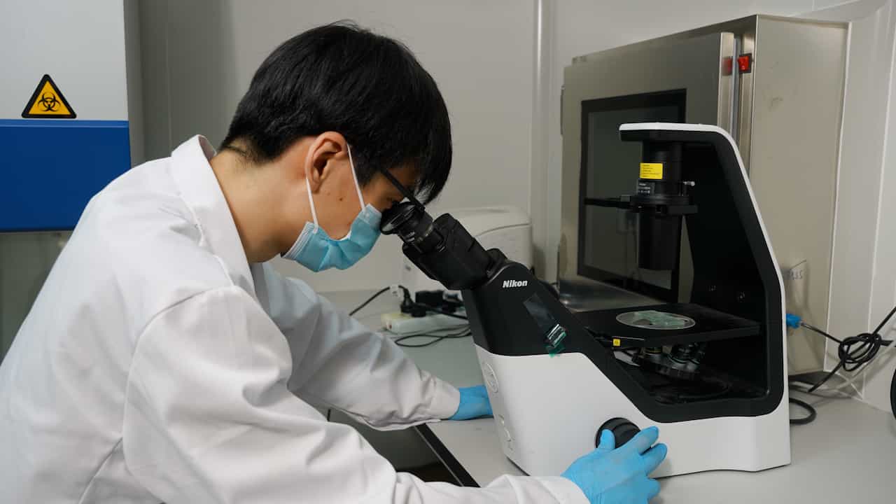 In Vitro Functional Analysis of Regulatory T cells: Focus On Proliferation And Differentiation