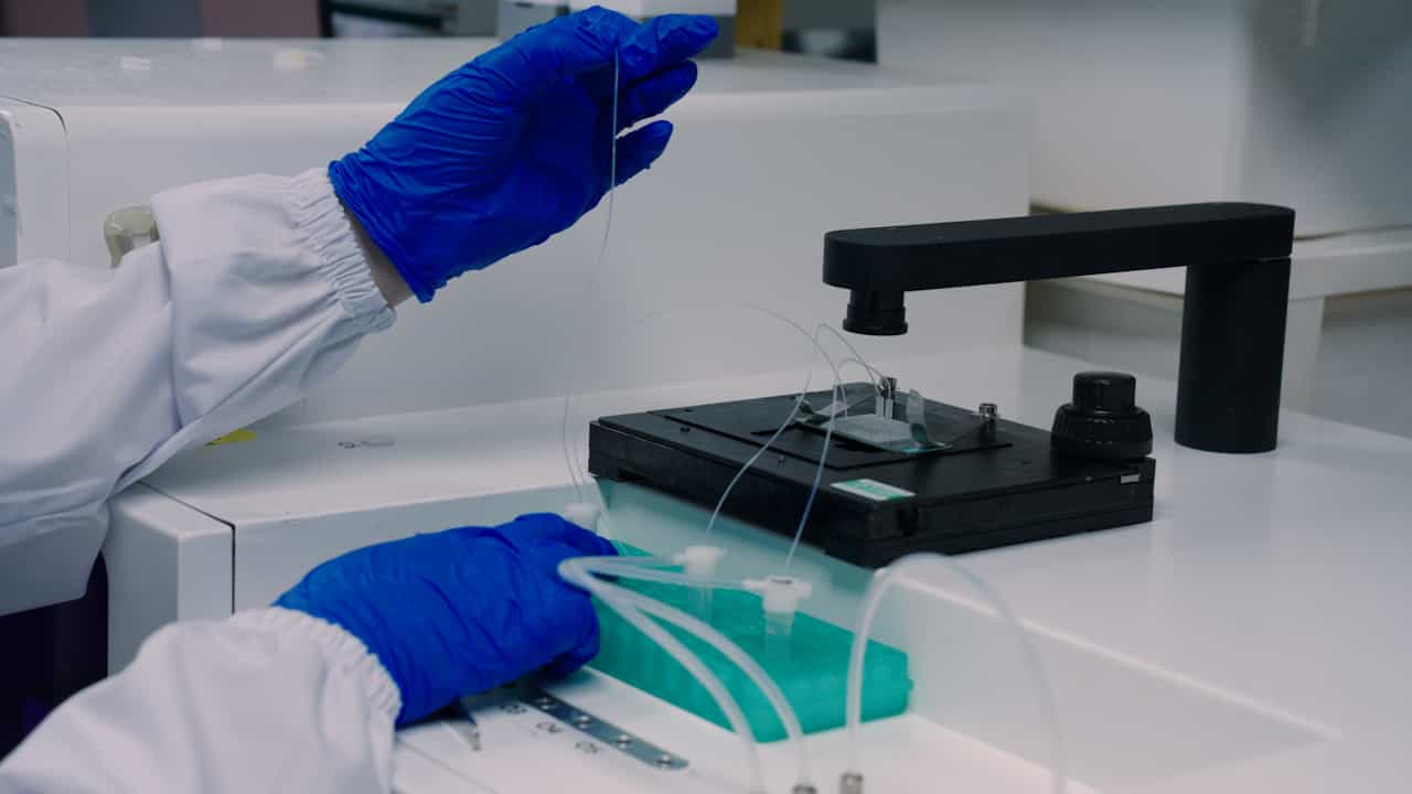 High-Throughput Screening of L-Lactic Acid-Hyperproducing Bacillus coagulans Mutants Using an Automated Droplet Microfluidic Platform