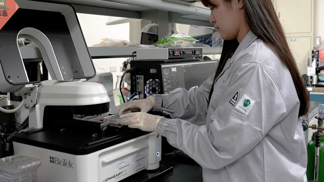 Time-Lapse Imaging of Antibody-Driven Macrophage Phagocytosis of Green Fluorescence Protein–Labeled Triple-Negative Breast Cancer Cells