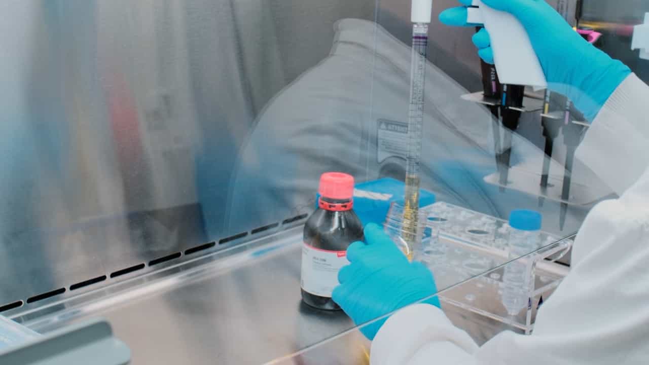 Generation of GABAergic Neurons from Human Induced Pluripotent Stem Cells Using Doxycycline-Inducible ASCL1/DLX2 Expression at AAVS1