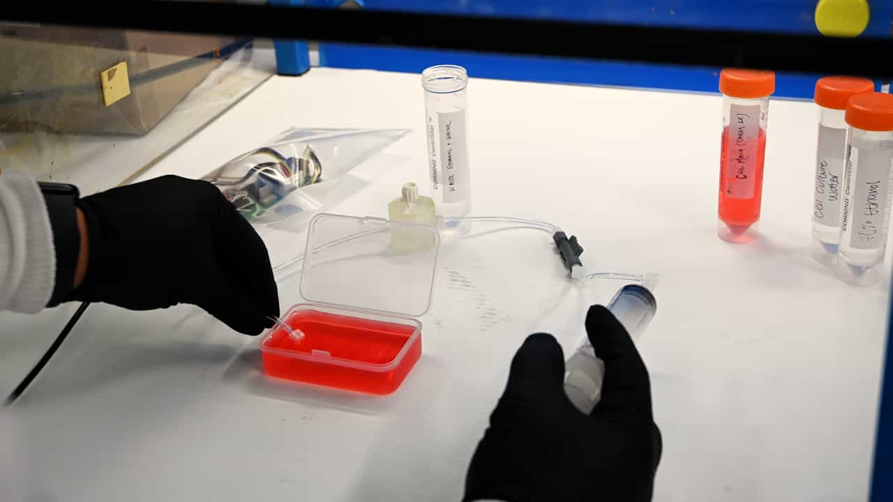 A Platform for the Continuous Culture of Endothelial Cells Under Physiological Flow Conditions in Simulated Microgravity