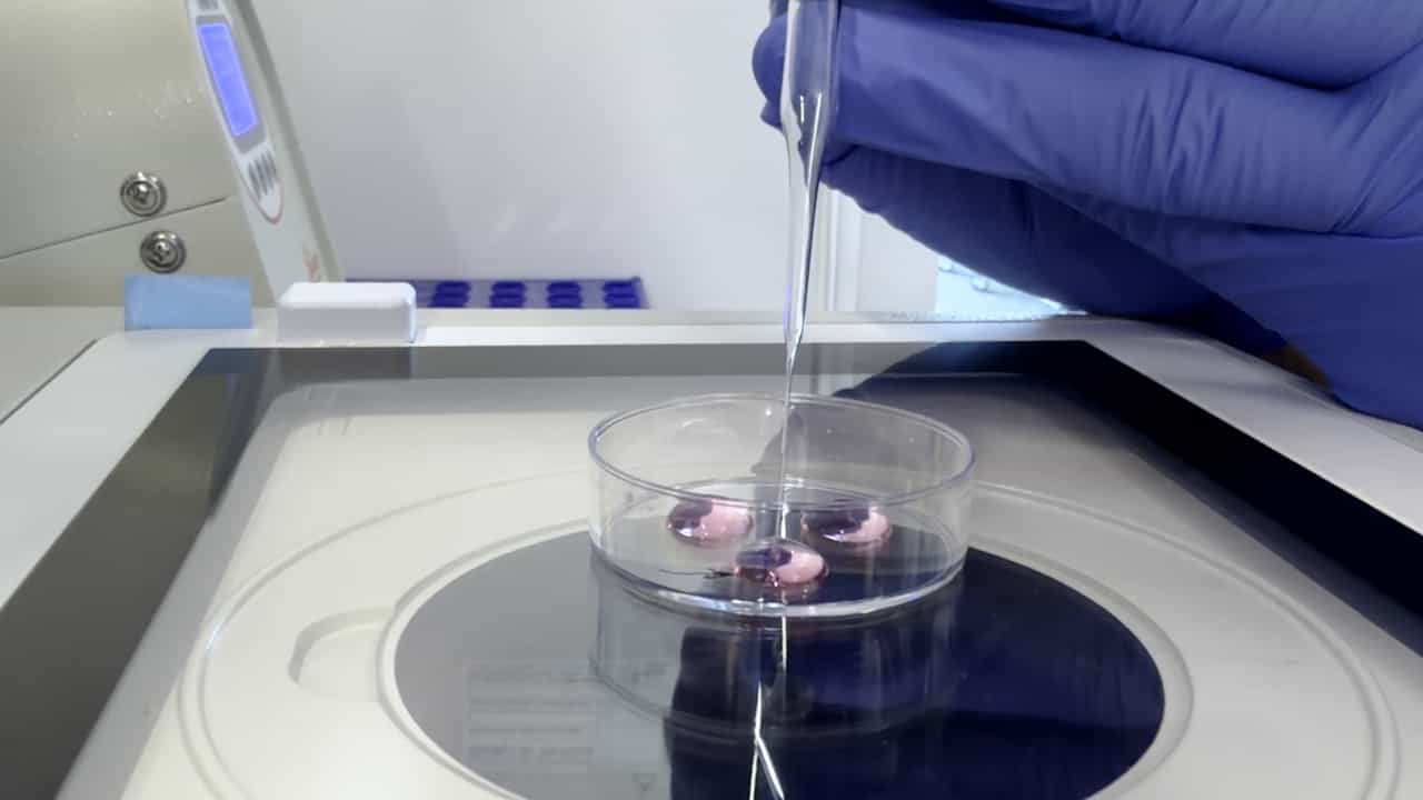 Recovery of Preimplantation Mouse Embryos from the Oviduct and Uterus