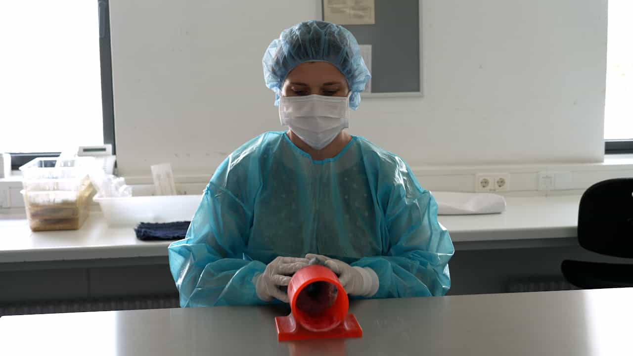 Welfare-Oriented Manual Restraint Technique for Substance Administration and Blood Sampling in Mice