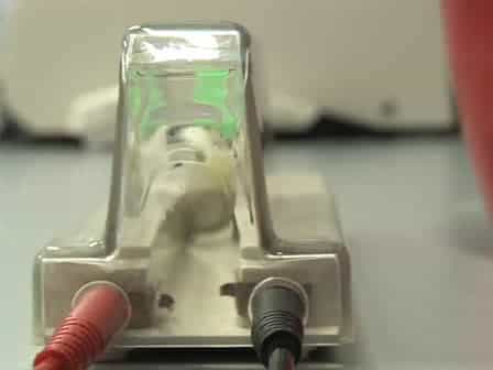 Electroporation of Mycobacteria