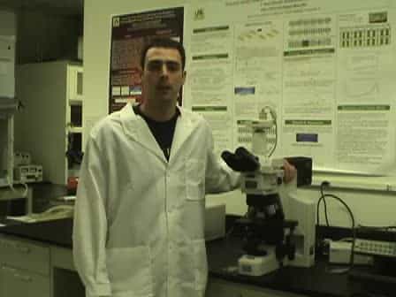 AC Electrokinetic Phenomena Generated by Microelectrode Structures