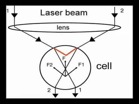 Using Laser Tweezers For Manipulating Isolated Neurons In Vitro