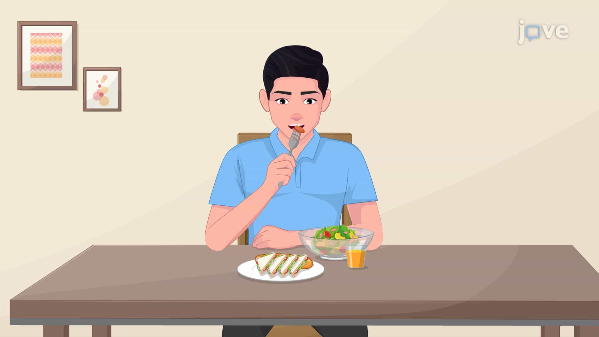 Bioavailability: Influencing Factors