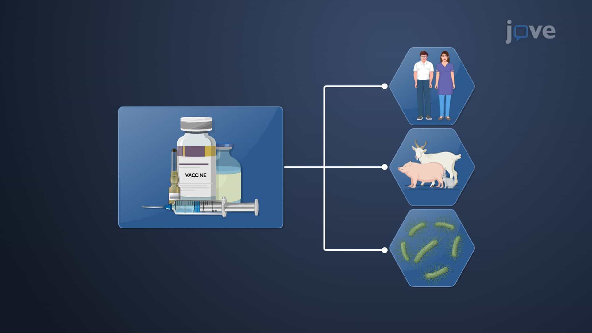 Drug Products: Biologics, Biosimilars and Interchangeables