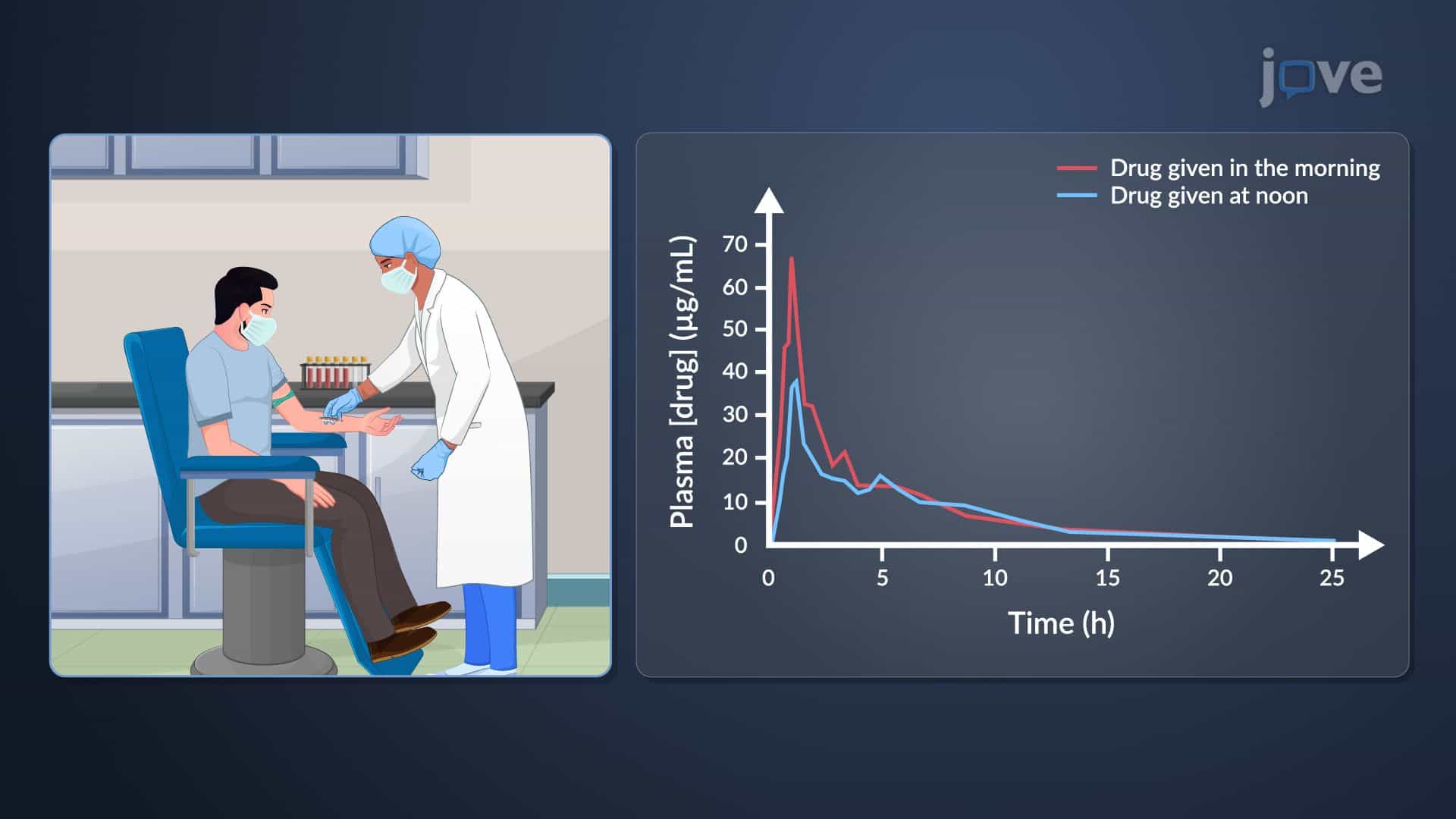 Dosage Regimen: Individualization