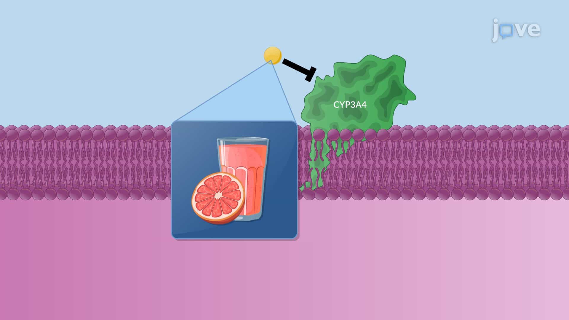 Pharmacokinetics: Drug–Food and Drug–Viral Interactions
