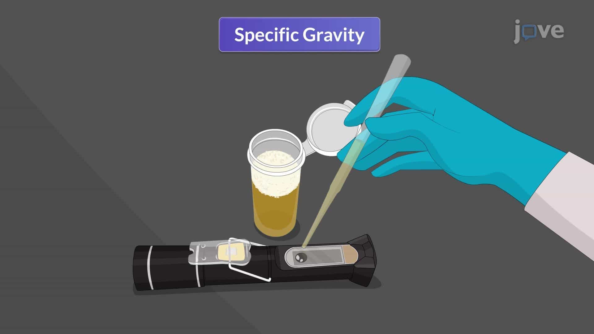 Serum Studies: Renal Function Tests