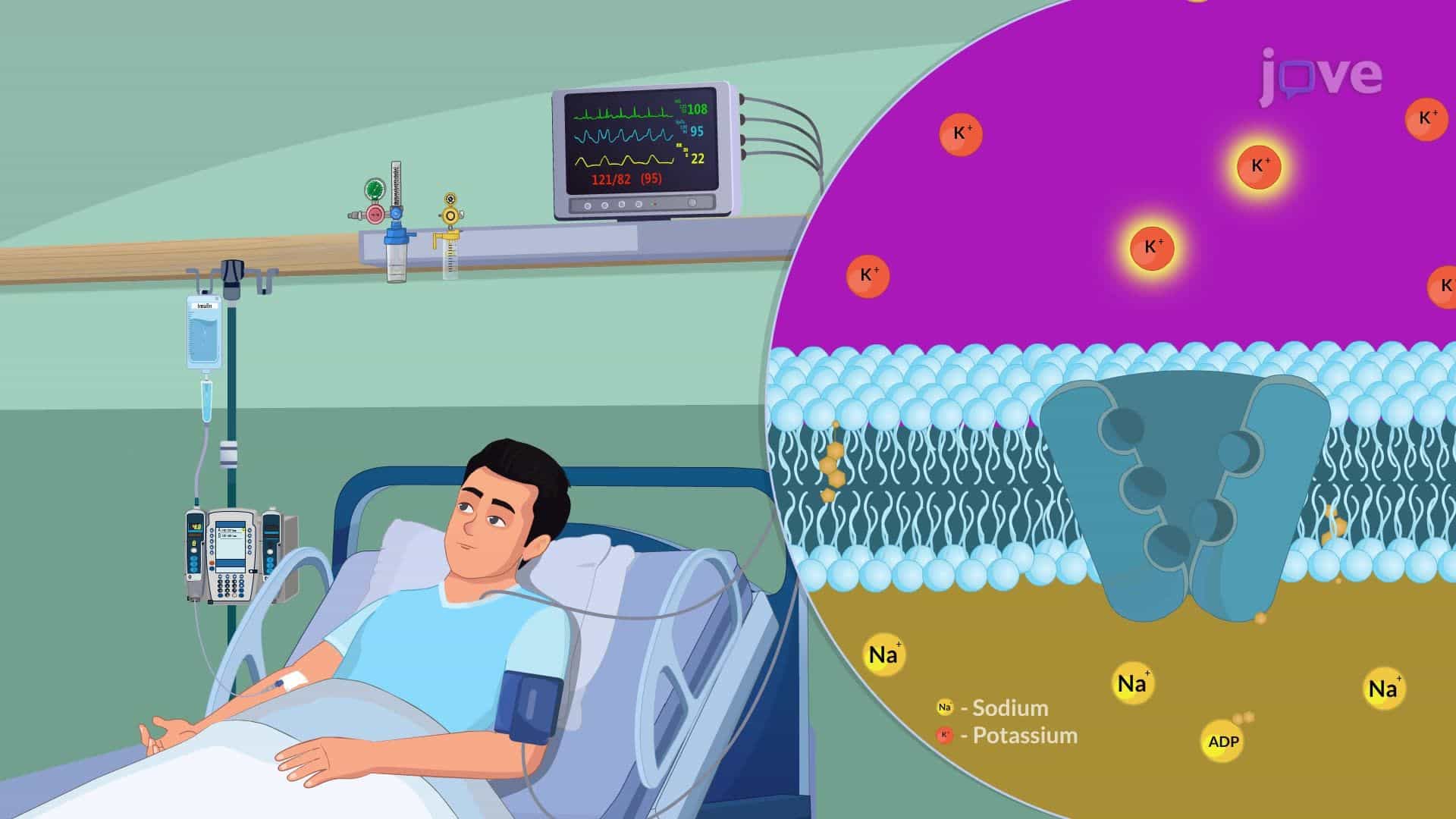 Acute Kidney Injury V: Interprofessional Care