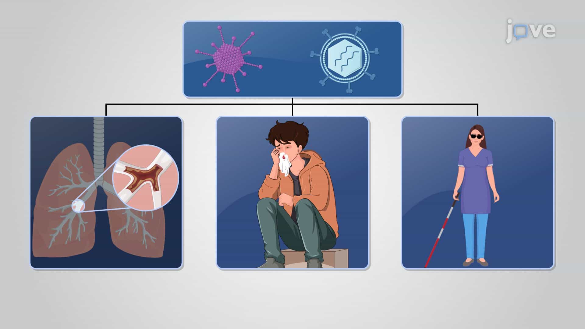 Microorganisms in Medicine and Therapeutics