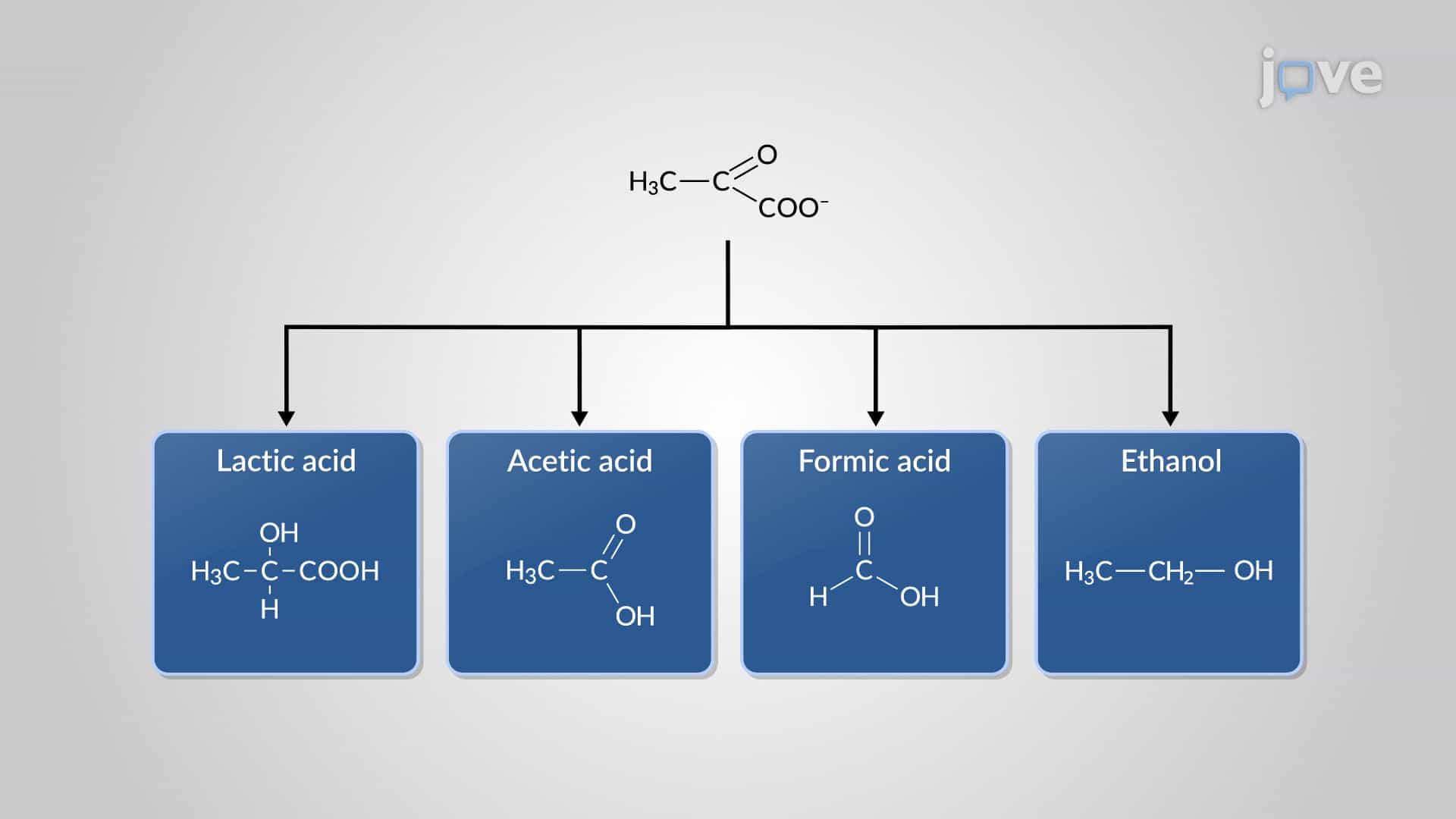 Microbial Fermentation