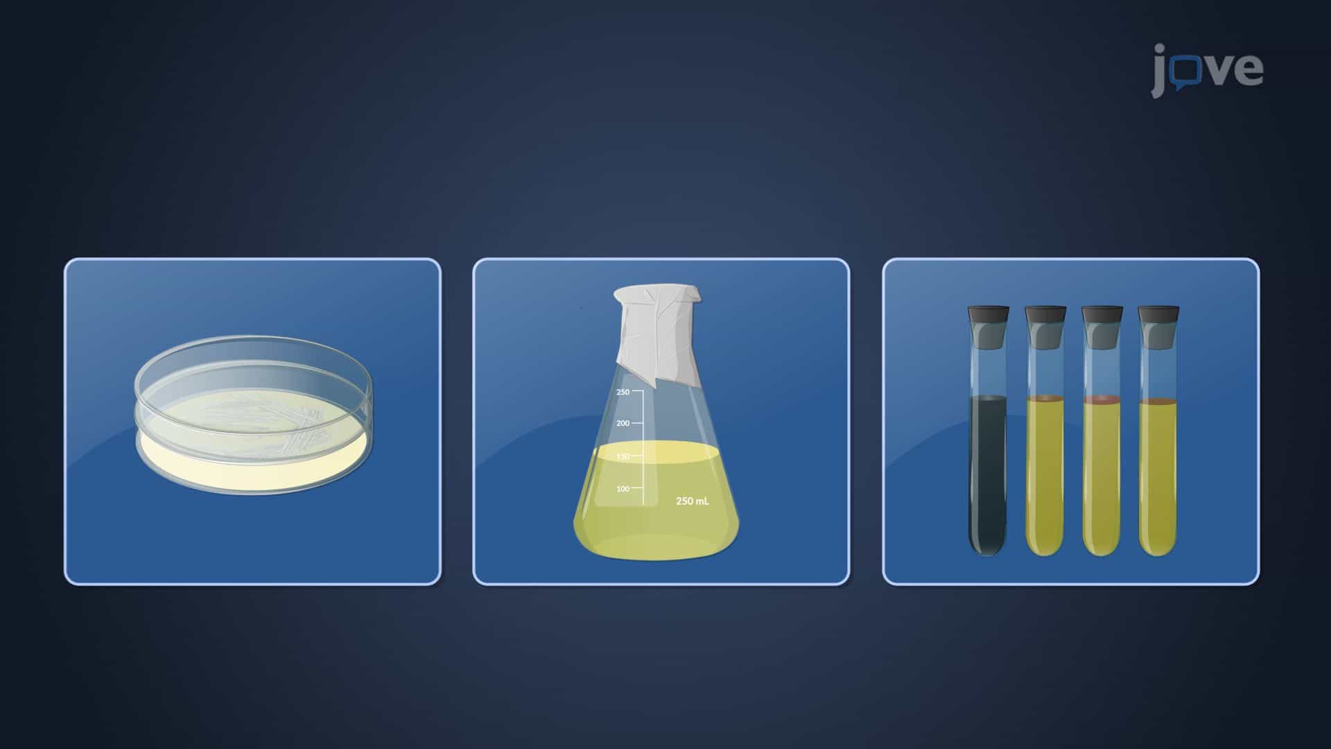 Microbial Growth Media