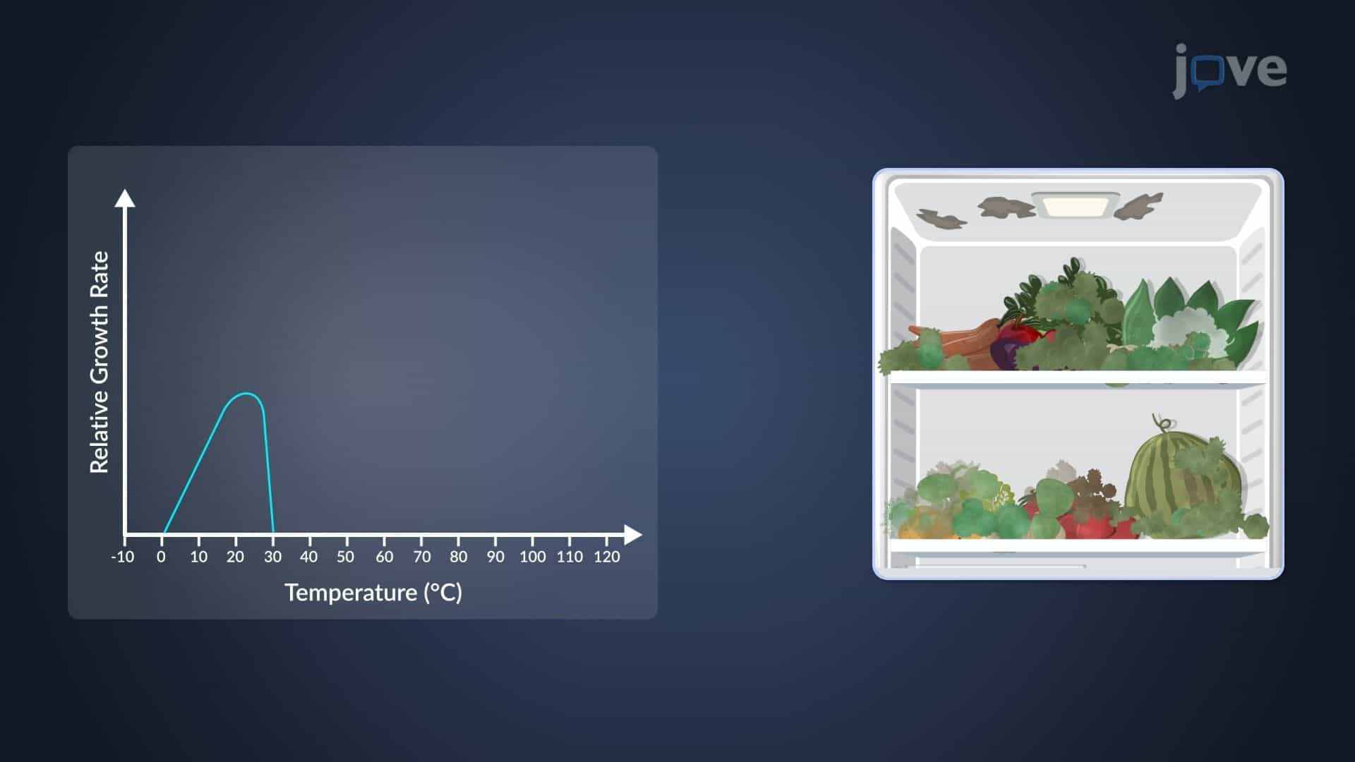 Factors Influencing Microbial Growth: Temperature