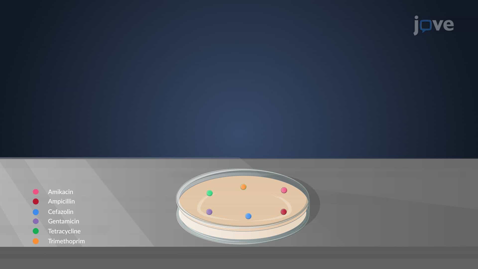 Antimicrobial Effectiveness