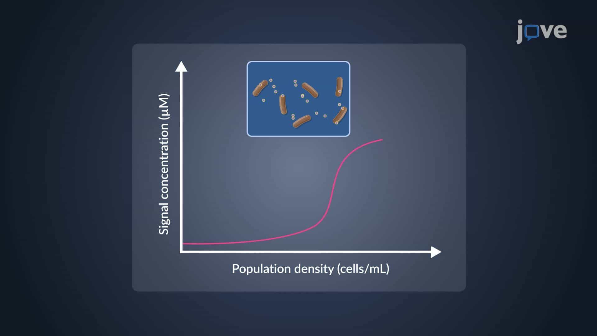Gene Regulation in Microbial Communities: Quorum Sensing