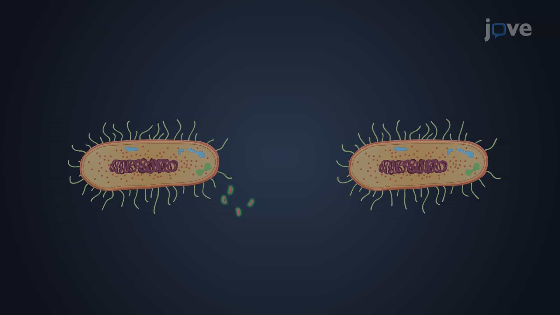 Horizontal Gene Transfer