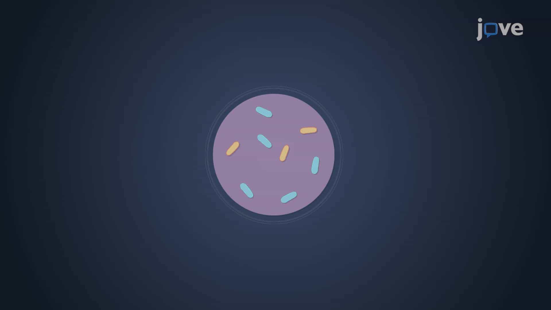 Development of Antibiotic Resistance