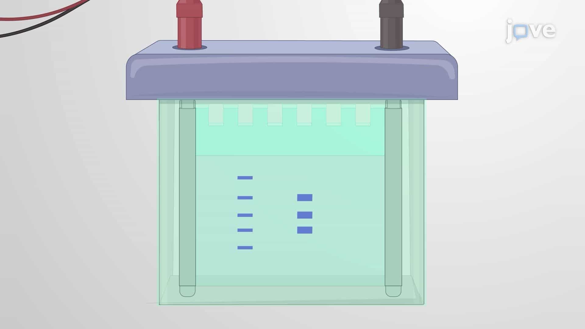 Detecting Histone Modifications in Yeast Cells with Neurodegenerative Protein Overexpression