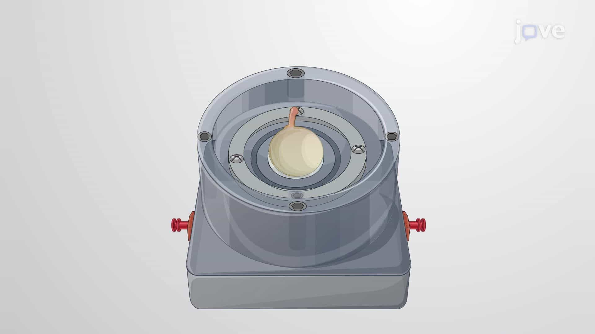 Developing a Translaminar Pressure Model Using a Translaminar Autonomous System