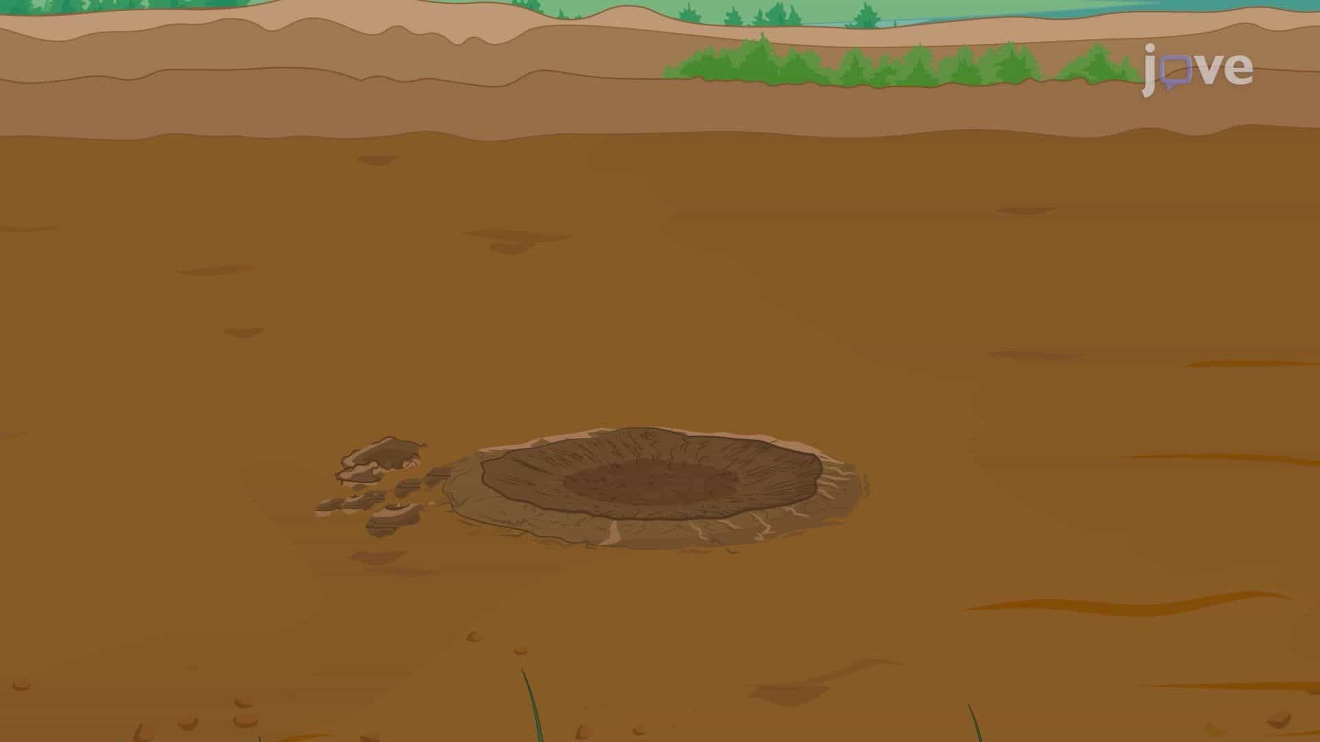 Soil Core Sample Collection for Water Retention Property Analysis