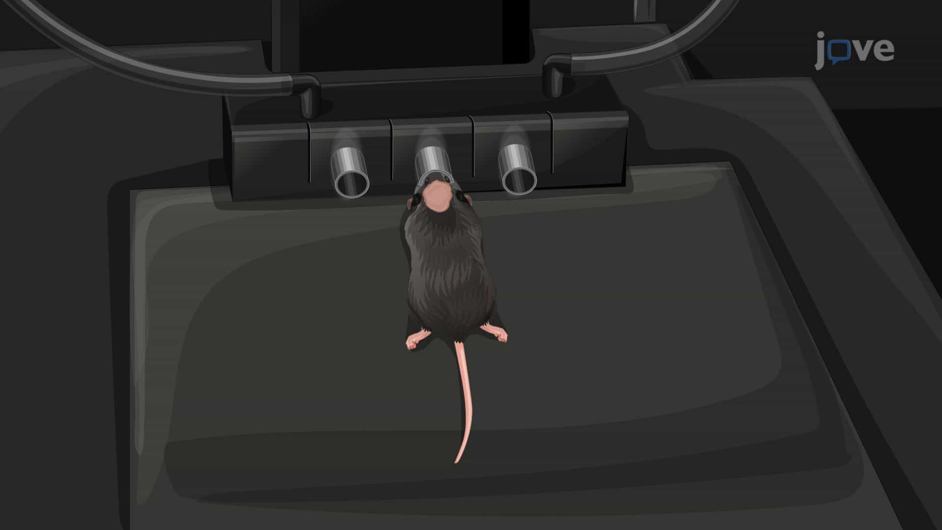 Bioluminescence Imaging of Neuroinflammation in a Transgenic Mouse
