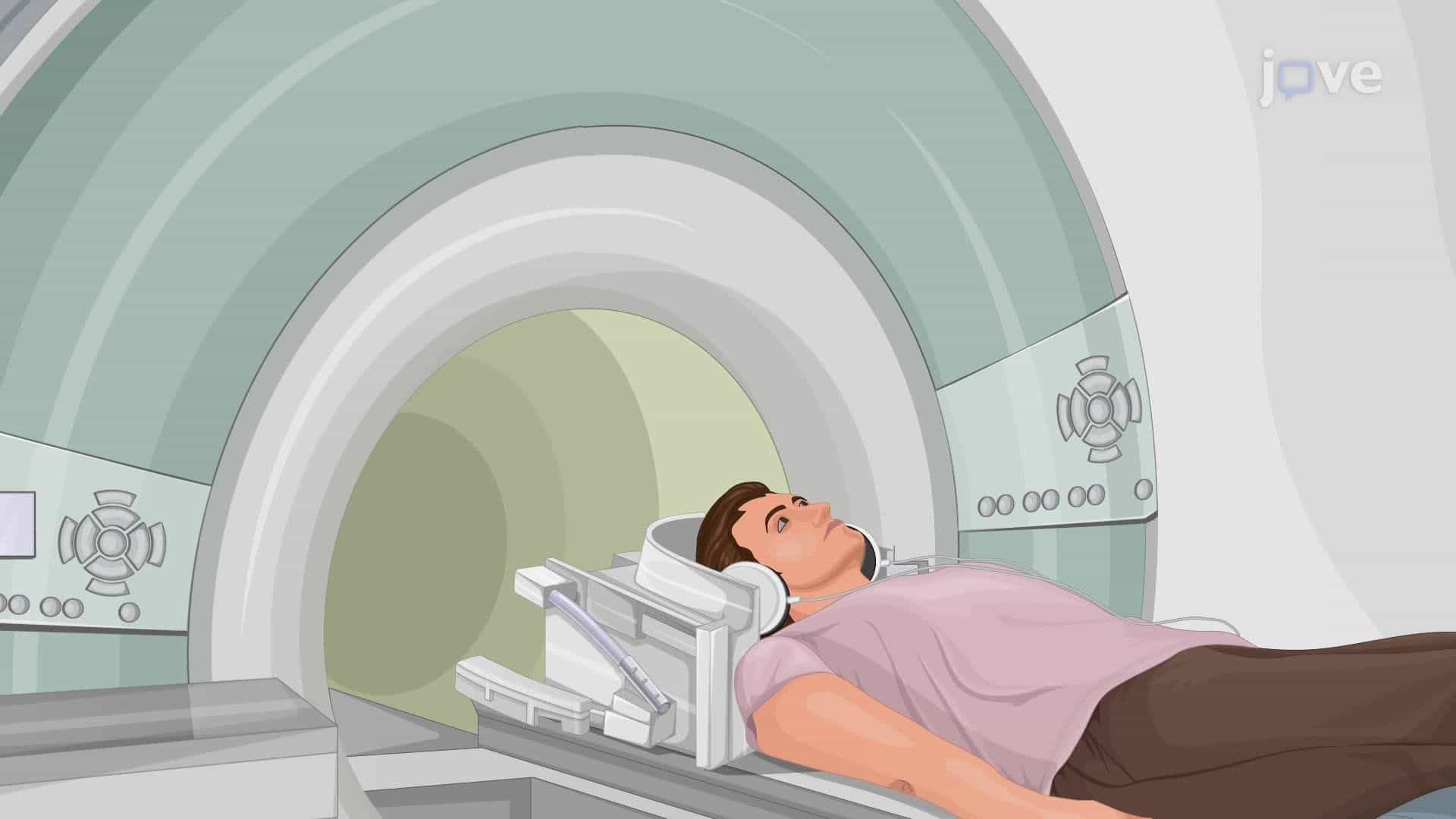 In Vivo MRI Analysis of Cranial Nerve Morphology in a Patient with Inner Ear Disorder