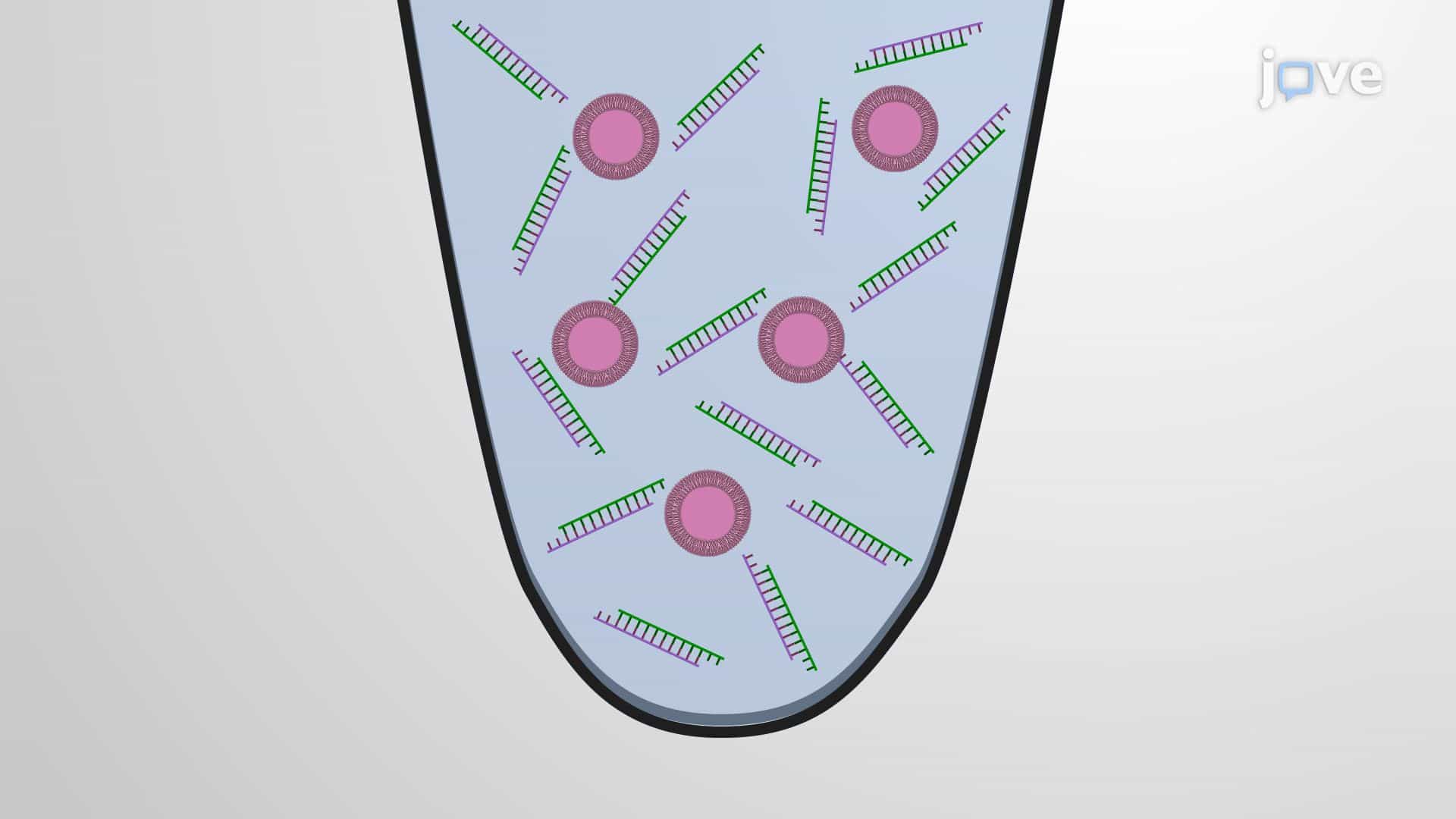 Targeted siRNA Delivery to Neurons for Prion Protein Silencing Using Liposomal Complexes