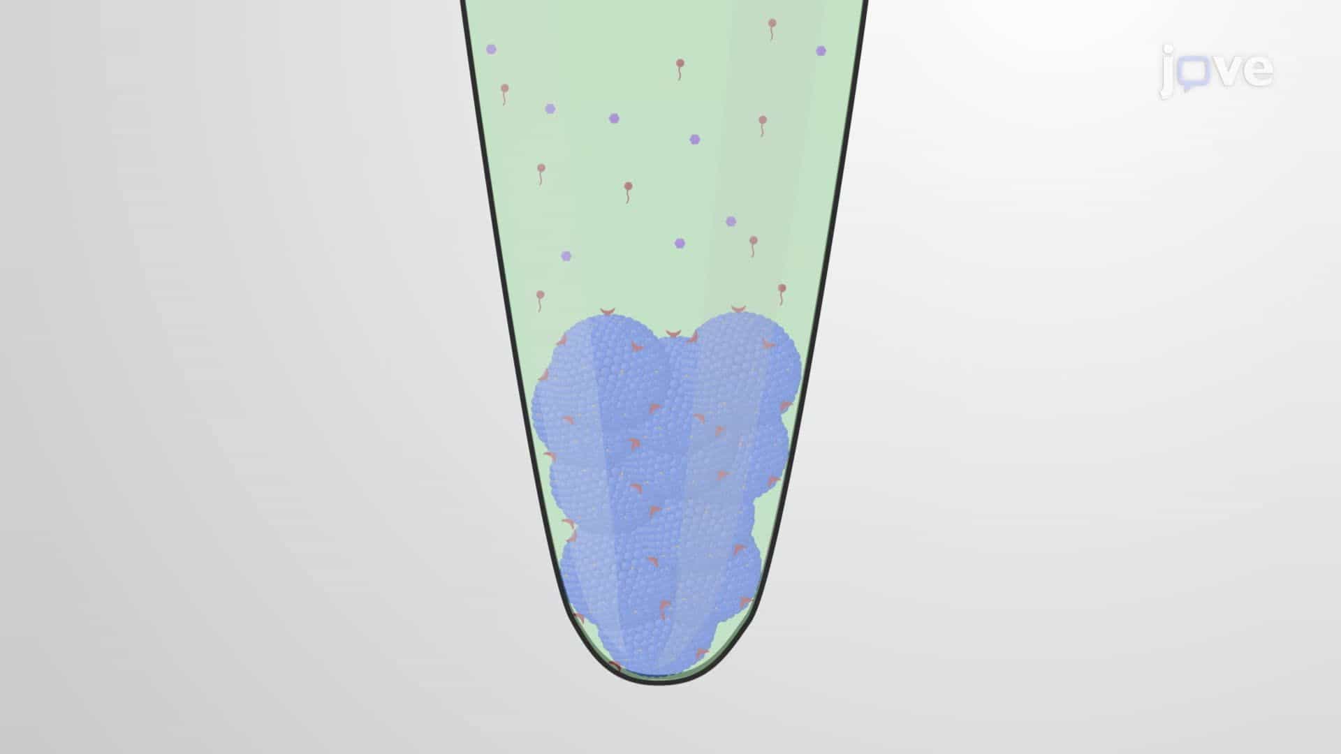 Formulating a Dopamine-Loaded Exosome Carrier System