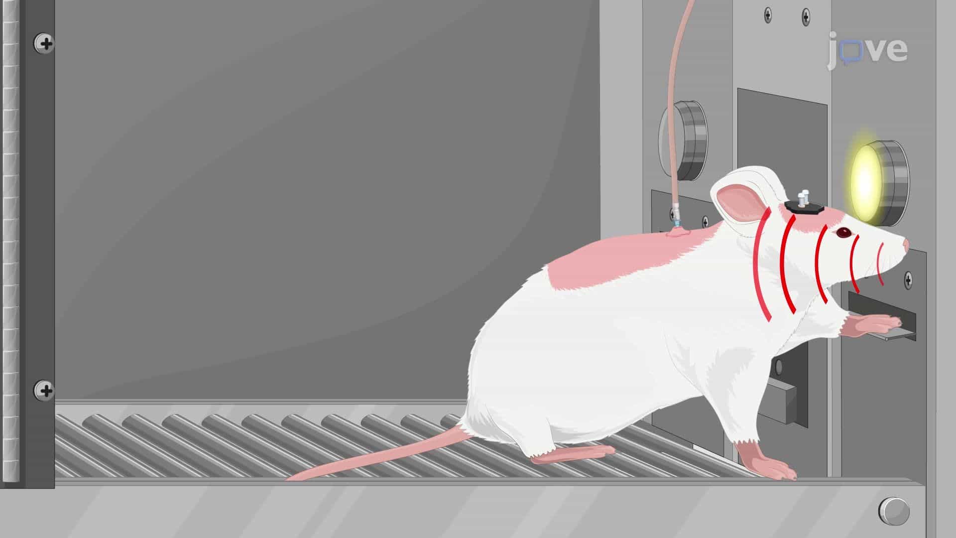 Optogenetic Induction of Long-Term Depression for Suppressing Narcotic-Seeking Behavior in Rats