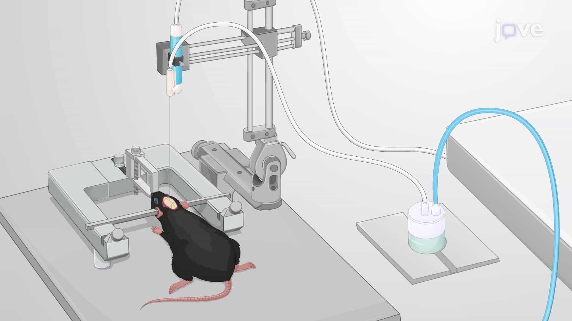 Brain Tumor Resection in a Mouse Using a Minimally Invasive Resection System