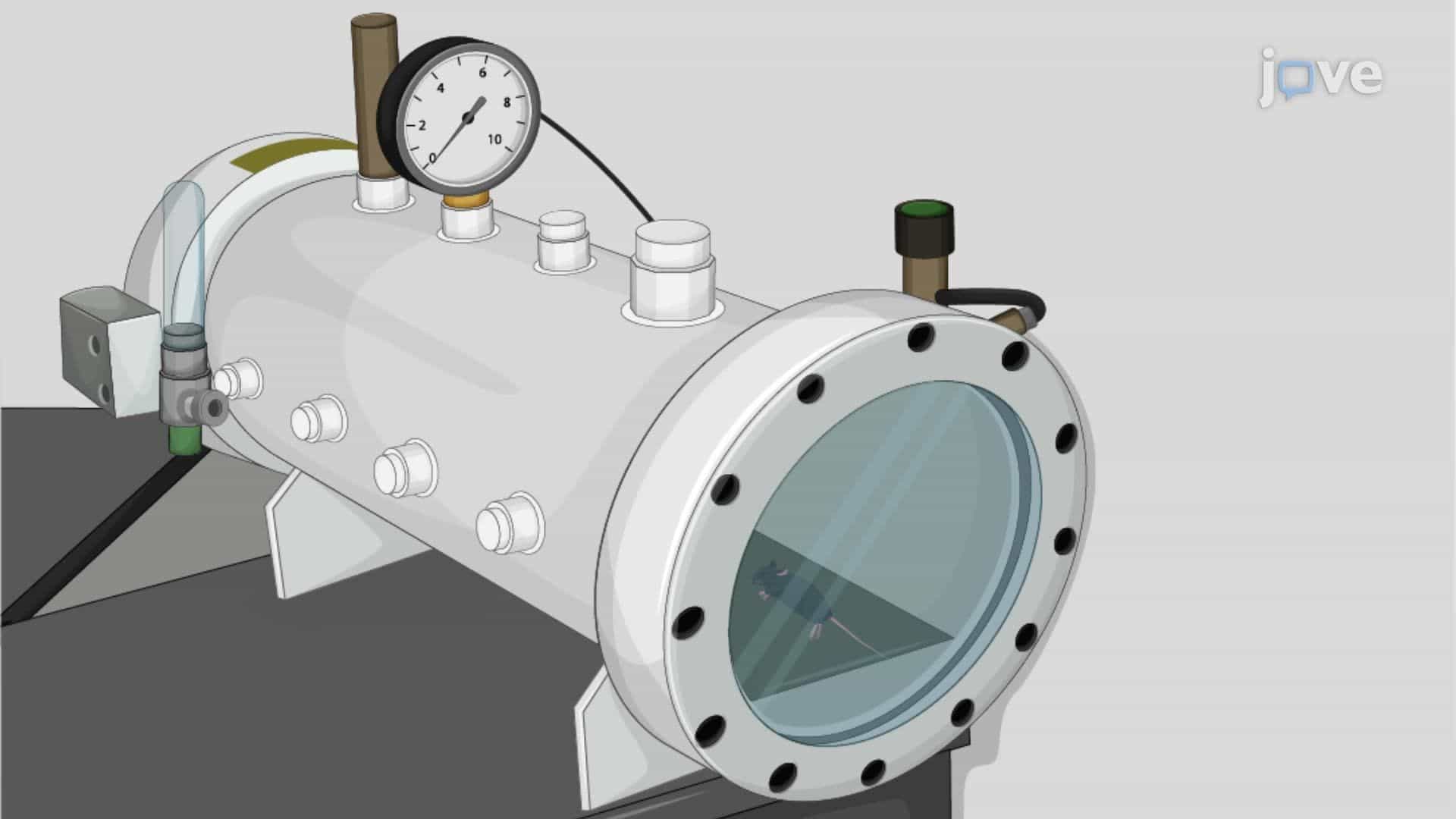 Hyperbaric Oxygen Therapy as a Neuroprotective Strategy for Anterior Ischemic Optic Neuropathy