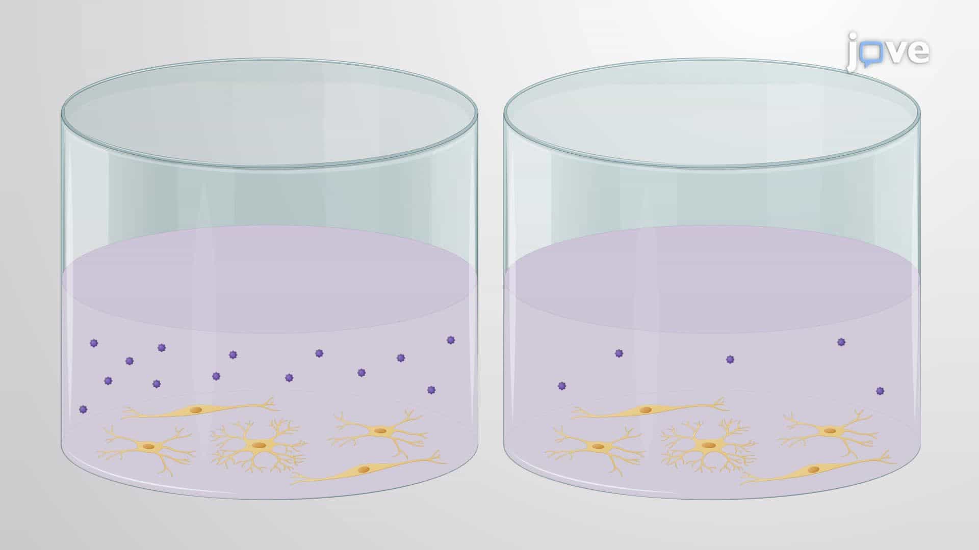 Nanoparticle-Mediated Enhanced Delivery of an Anti-Inflammatory Drug in Microglia-Like Cells