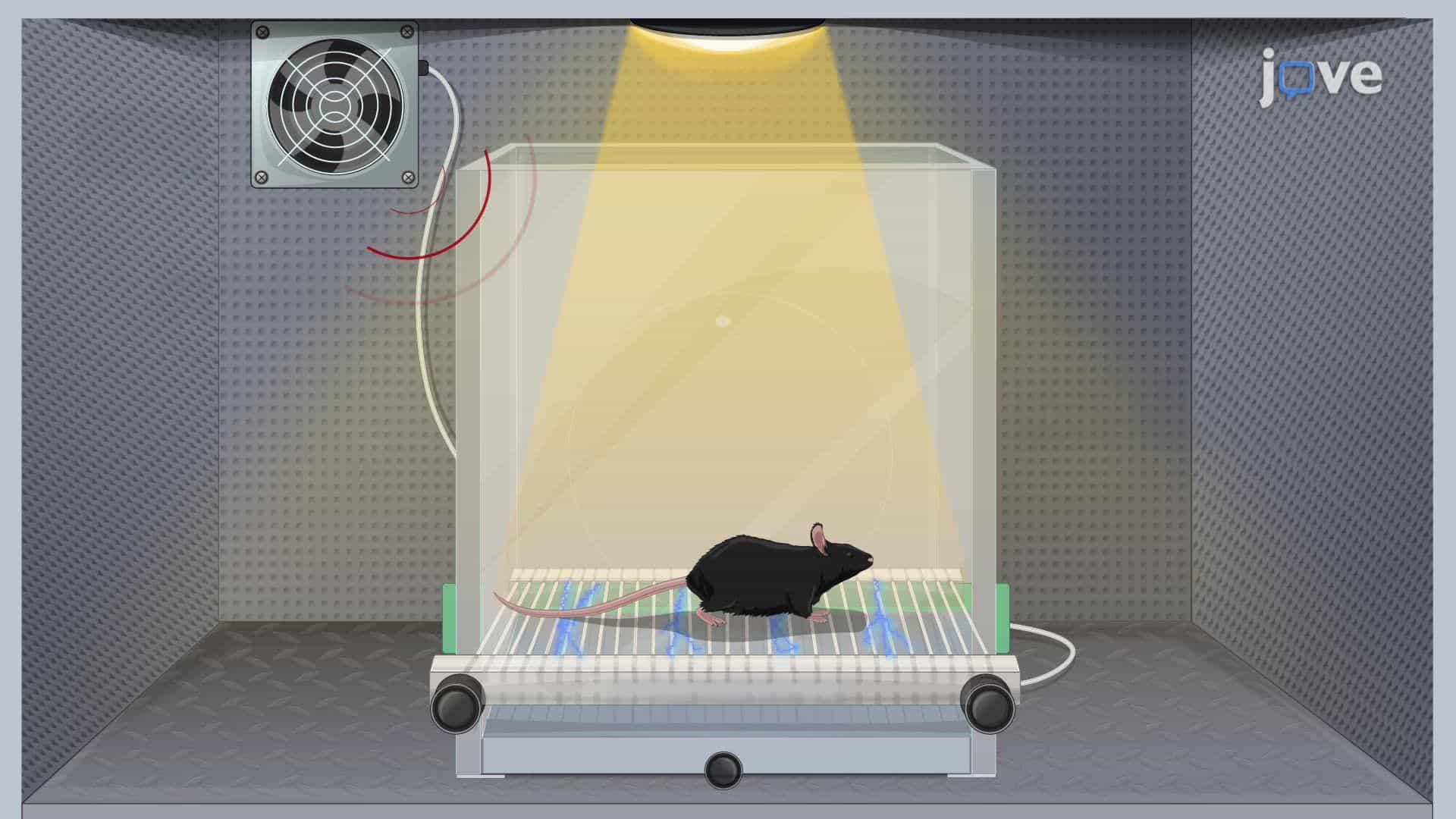 Restoring Memory Formation in a Memory-Deficient Mouse Model through Allosteric Modulation