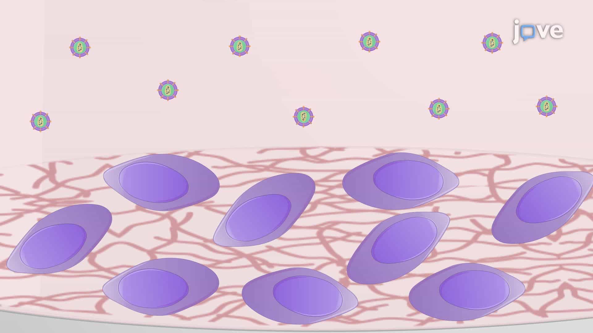 Lentiviral Transduction of Neural Progenitor Cells for Epigenetic Regulation of Alpha-Synuclein Expression