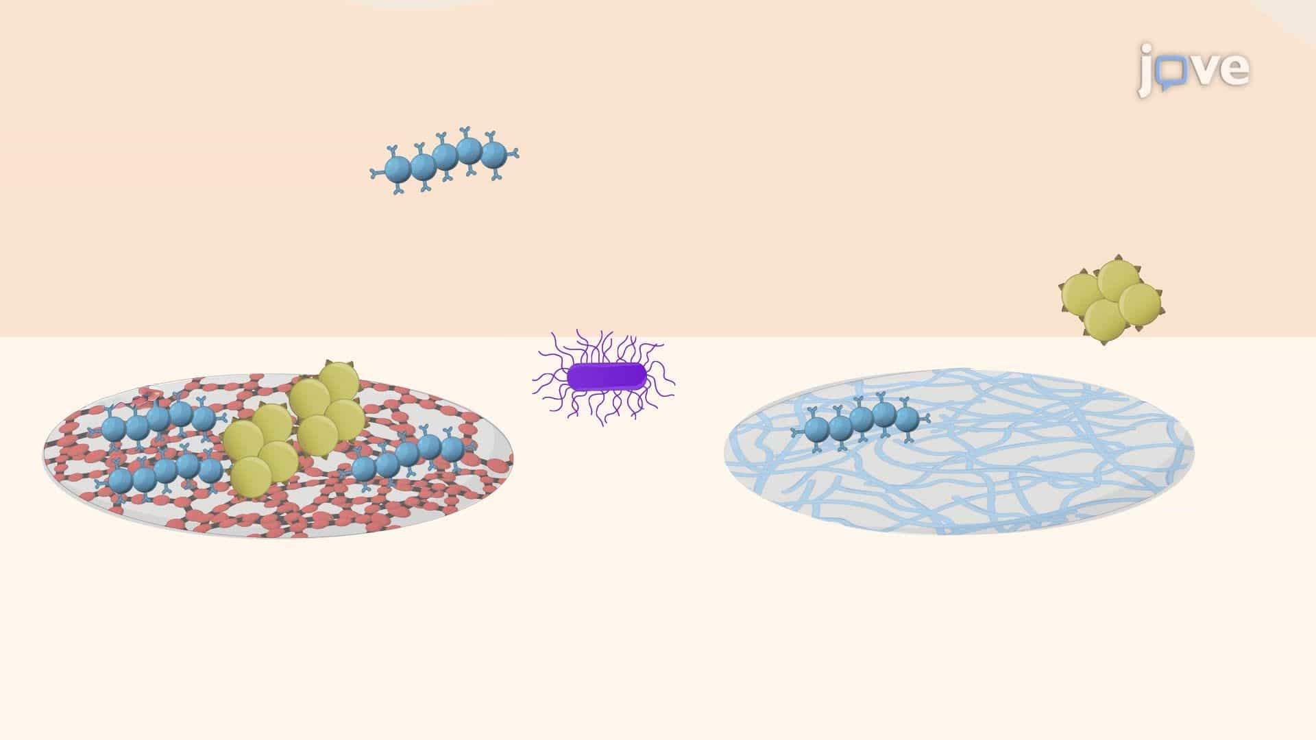 High-Throughput Identification of Bacteria-Repellent Polymers via Microarray Screening