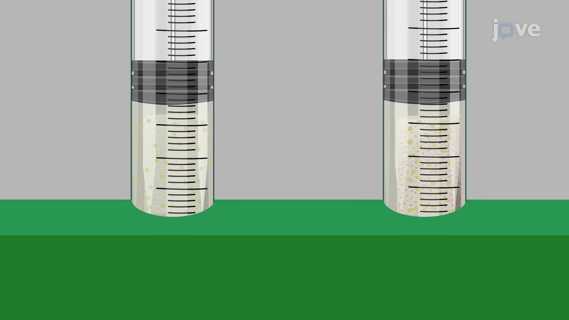 Determining the Antibacterial Efficacy of an Antibiotic-Loaded Polymeric Strip