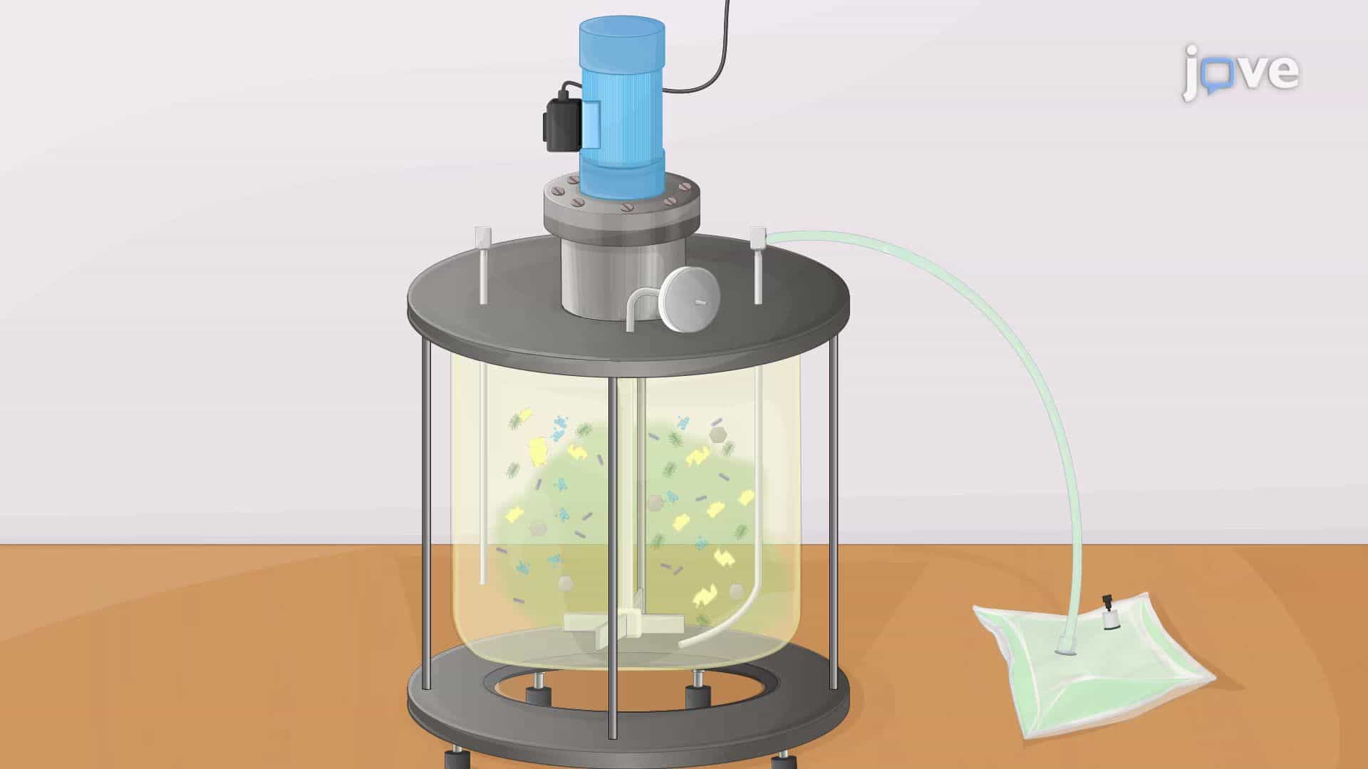 Anaerobic Digestion of Bioplastics for Biogas Production